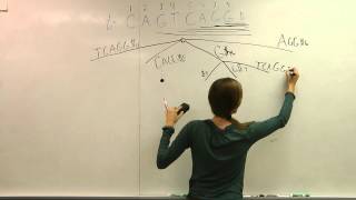 Creating the Suffix Tree - Conceptually