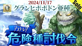 ログレス グランヒポポドン亜種 カツオ構成 2024/11/17