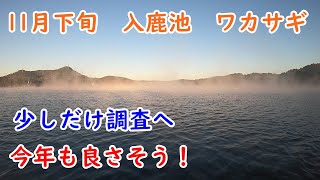 ワカサギ釣り　入鹿池の調査に短時間釣行へ　今年も釣れそうな予感　#フィッシング遊フォトカーニバル2024秋