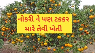 આતે કેવી ખેતી | #orangefarming #orang #ikhedutyojana #news