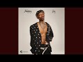 XDuppy - Ama Ice (Official Audio) (Ft. DJ Maphorisa, Lihle Bliss & ShaunMusiq & Ftears) | AMAPIANO