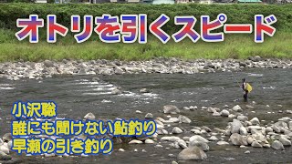 小沢聡 誰にも聞けない鮎釣り1 オトリを引くスピード