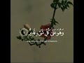 Surah Al Mulk . Reciter: Bader Al Nufais