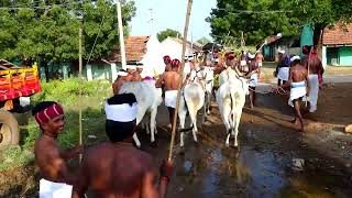 தாசில் நாயக்கனூர்/தைக்கூப்பு விழா/ ஶ்ரீ வேலன் ஸ்டுடியோ/ விராலிமலை.