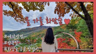 화담숲 예약팁 및 방문 꿀팁🍁 | 가을 단풍 명소 탐방🍂