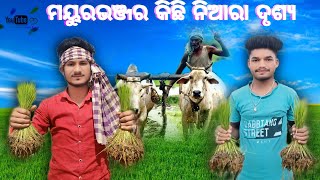 ମୟୁରଭଞ୍ଜର  କିଛି ନିଆରା ଦୃଶ୍ୟ || Mayurbhanj Toka Official