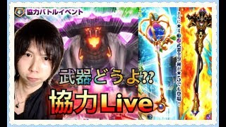 【白猫プロジェクト】餅武器確認と新協力Live！《蒼き炎のテンペスト》