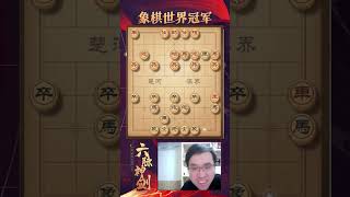 目标不能太明，声东击西铁门栓。#象棋 #赵鑫鑫 #国粹传承