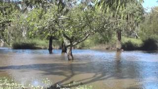 More Barwon River Floods