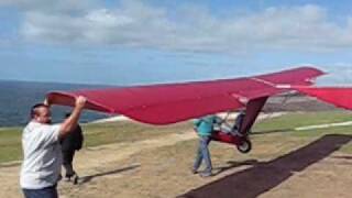 Red Goat Soaring at Torrey Pines