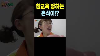 에이미 vs 흔식이