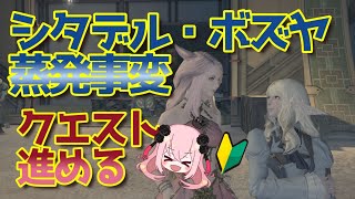 【FF14】シタデル・ボズヤ蒸発事変を進めたい【アラルレなど参加者募集】