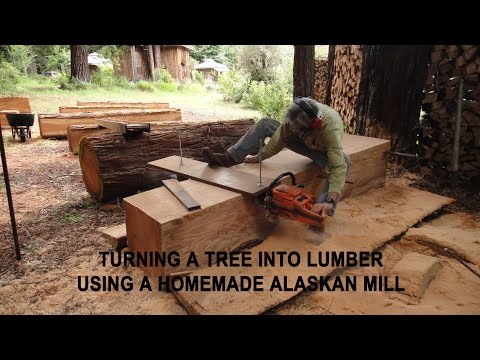 Turning a tree into lumber using a homemade Alaskan Mill Turning a tree into lumber using a homemade Alaskan Mill