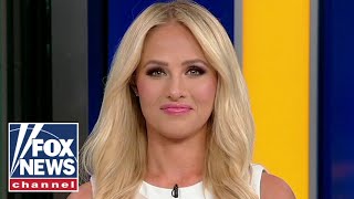 Tomi Lahren: What did the Bidens do to get all this money?