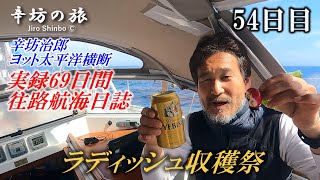 死んでも船だけはたどり着く…そんな弱気も吹き飛ぶ晴れとラディッシュ収穫祭！[辛坊治郎ヨット太平洋横断往路69日間の航海日誌動画54日目]～辛坊の旅～