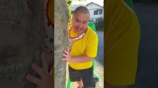 Japanese karate baby!!👶🍼🥋funny video😂😂😂/Best TikTok February 2023 part427 #shorts