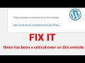 there has been a critical error on this website in WordPress