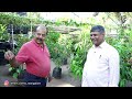 ಯಶಸ್ವಿ ತಾರಸಿ ತೋಟದ ಸಾಧಕರ ಸಂದರ್ಶನ blany dsouza terrace garden vlog 03@blanydsouzaterracegarden5000