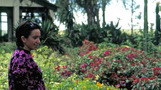 Stefano Bovina-Le fotografie dei viaggi Jugoslavia, Kenya, Islanda e Portogallo-Foto del 1986 e 1987