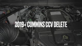 2019+ Cummins CCV Delete