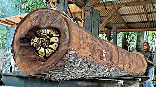 Unexpected surprise while sawing Giant redwood logs at the sawmill