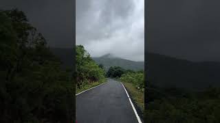 Sringeri to Hornadu don’t ever miss this route one the best experience in nature #karnatakatourism