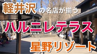 軽井沢行くならココ！軽井沢の名店が揃う ハルニレテラス 軽井沢星野エリア 星野リゾート