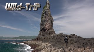 鹿児島・枕崎でロックショアゲーム！ Wild Trip/鉄人・松岡豪之(1418)