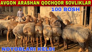 100 BOSH TOZZA AVGON ARASHAN QOCHQOR SOVLIQLAR KELDI