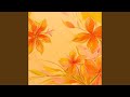 ephemeral (interlude)