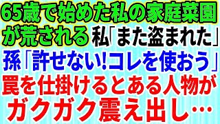 【スカッとする話】私の家庭菜園の野菜が何度も盗まれる→孫「絶対に許せない！コレを使おう！」私「えっ」こっそり罠を仕掛けた結果