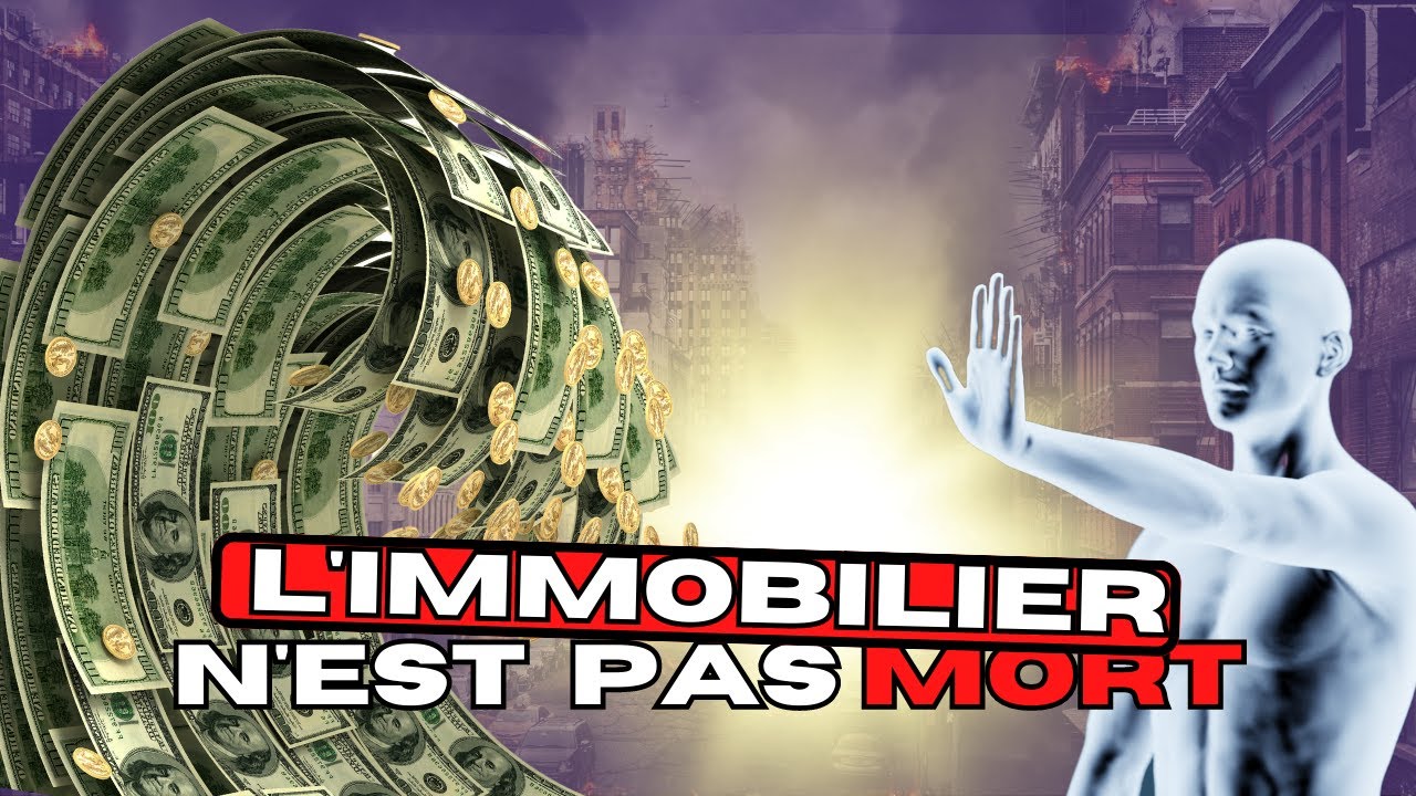 Résister à La Crise De L'Immobilier Français 💀 Exemple Concret - YouTube