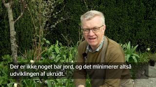 Claus Dalby: tips til at undgå ukrudt i bedet - uden pesticider