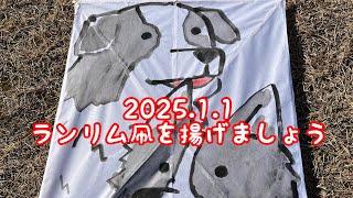 手作りランリム凧を揚げました2025.1.1