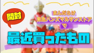 出先で買ったもの達をご紹介！開封！【ソフビ】【開封動画】