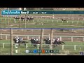 turf paradise turf stakes