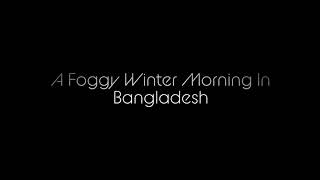 Foggy Winter Morning In Bangladeshi Village - কুয়াশাচ্ছন্ন একটি সকাল