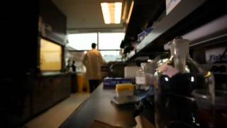 JDRF Canadian Clinical Trial Network (JDRF CCTN)
