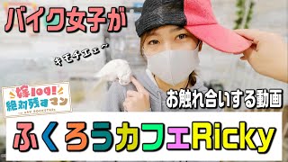 モトブログ　バイク女子がふくろうカフェに行ってきたお話　CBR250R