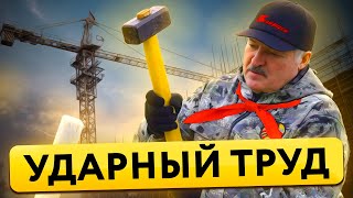 Стройотряды Беларуси - даёшь бесплатный труд / Студенты и БРСМ - новое экономическое чудо лукашенко