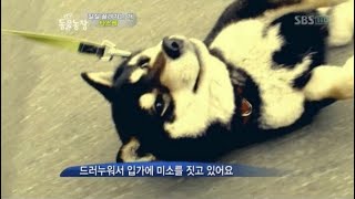 Playlist. 햇볕 좋고 나른한 날 거실에 대자로 누워서 듣는 플레이리스트