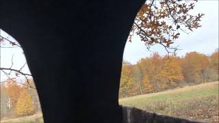 Hunting out of the Ameristep OutHouse ground Blind Deer season Scavo OutDoors 2020