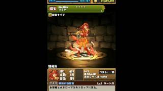 【パズドラ実況】　北斗の拳コラボガチャ　１０回　引いてみた！　さぁ結果はいかに！？