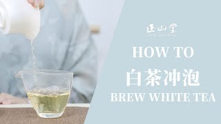 如何冲泡白茶How to Brew A Profect Chinese White Tea