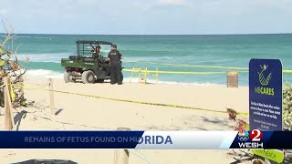 Death investigation underway after remains of fetus washed ashore on Florida beach