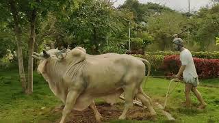 Shikaripura Anjanapura Dam \u0026 Park R Wonderful, ಶಿಕಾರಿಪುರದ ಅಂಜನಾಪುರ ಜಲಾಶಯ ಉದ್ಯಾನವನದ ದೃಶ್ಯ.