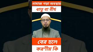 নামাজ পড়া অবস্থায় ধাতু বা বীর্য বের হলে করণীয় কি? Shaykh Ahmadullah