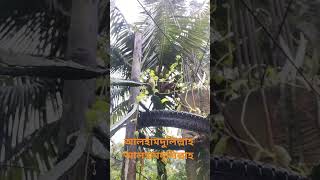 চারটা বছর অপেক্ষার পর ফুলের দেখা মিললো,  আলহামদুলিল্লাহ