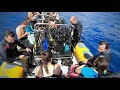 madeira vlog 5 diving in corveta afonso cerqueira haliotis dive center