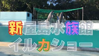 【香川県高松市屋島東町】新屋島水族館でカメラ撮影時にポージングするイルカ達のイルカショーを見てきた♪